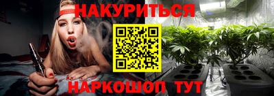 крисы Апшеронск