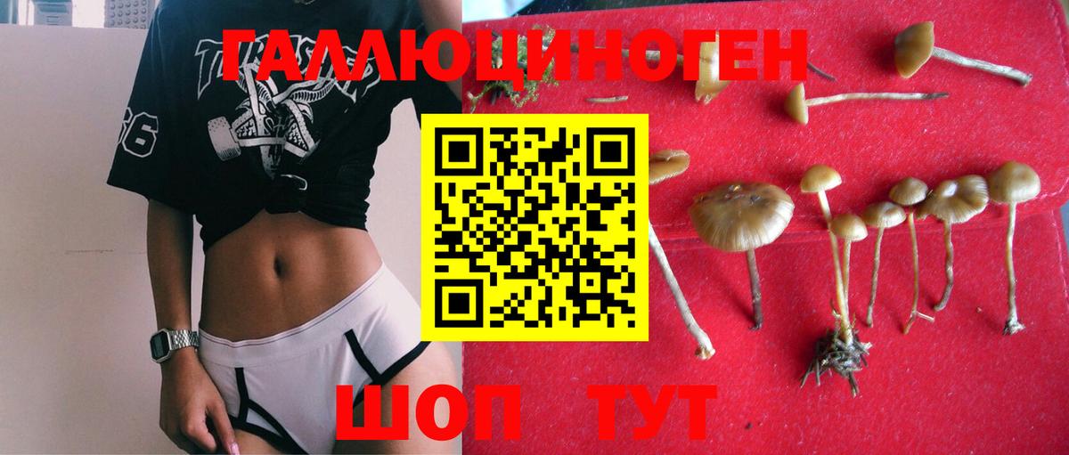 Галлюциногенные грибы GOLDEN TEACHER  Бор 